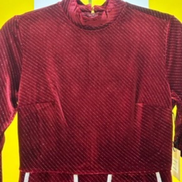 Smak Parlour Burgundy Sparkle high-Neck Mod Fit&Flare w/ Ornate Pocket Front - Picture 7 of 7